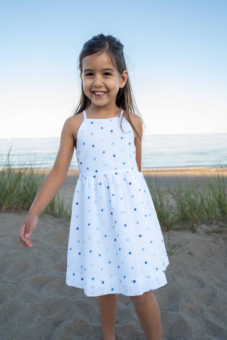 Embroidered Floral Dress, Alternate, color, White/Blue