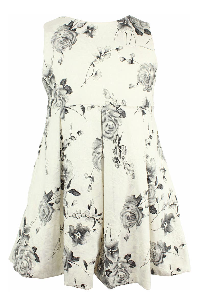 Popatu Embroidered Flower Fit & Flare Dress, Main, color,