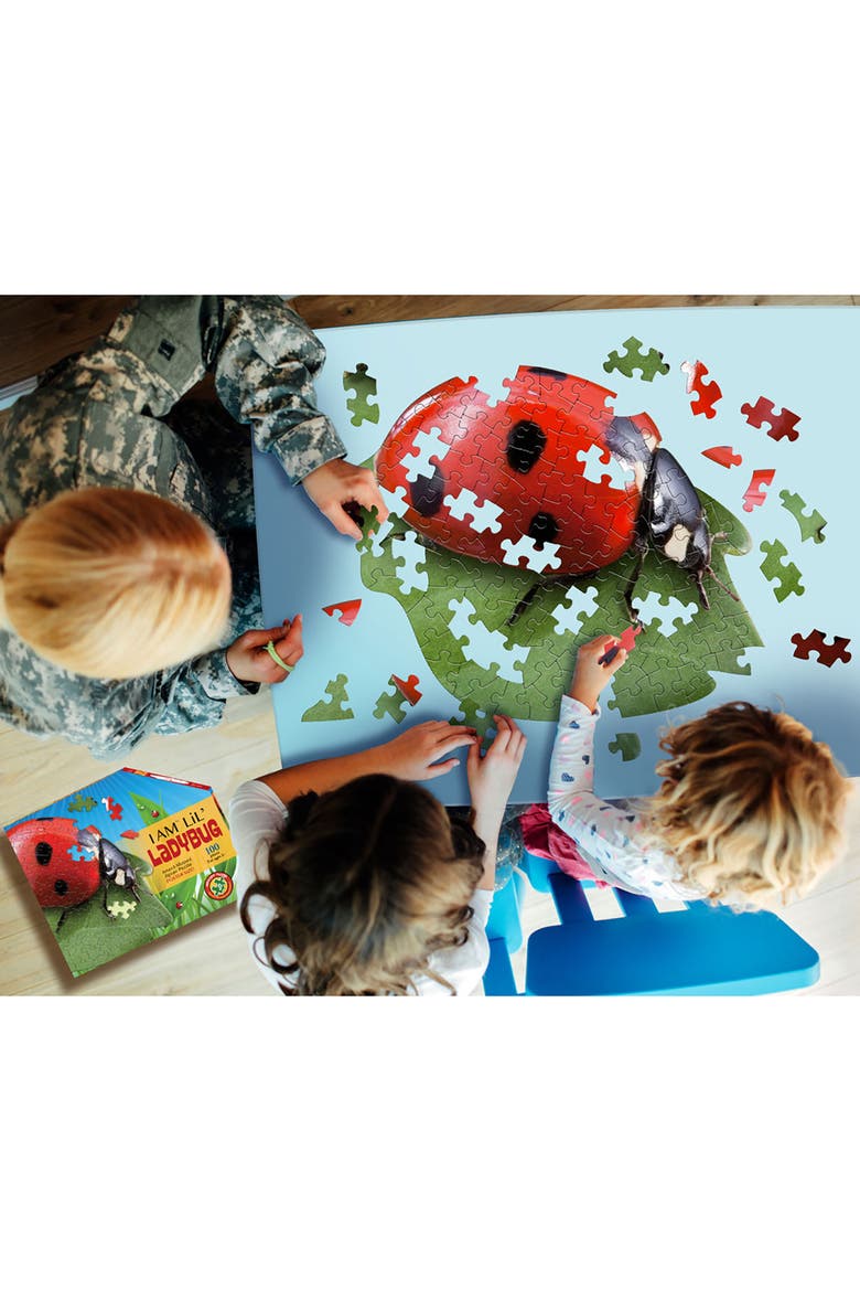 Lil Ladybug 100 Piece Jigsaw Puzzle, Alternate, color, Multicolored