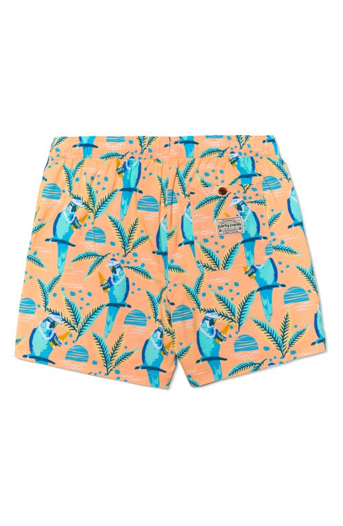 Party Pants Nice Birdie Swim Trunks In Coral