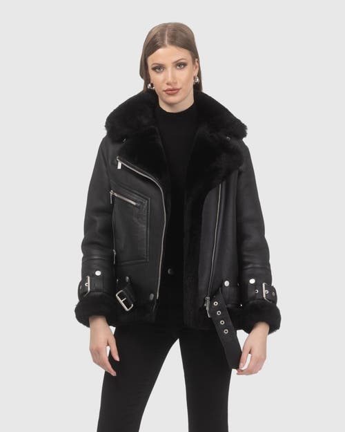 Gorski Shearling Lamb Moto Zip Jacket In Black