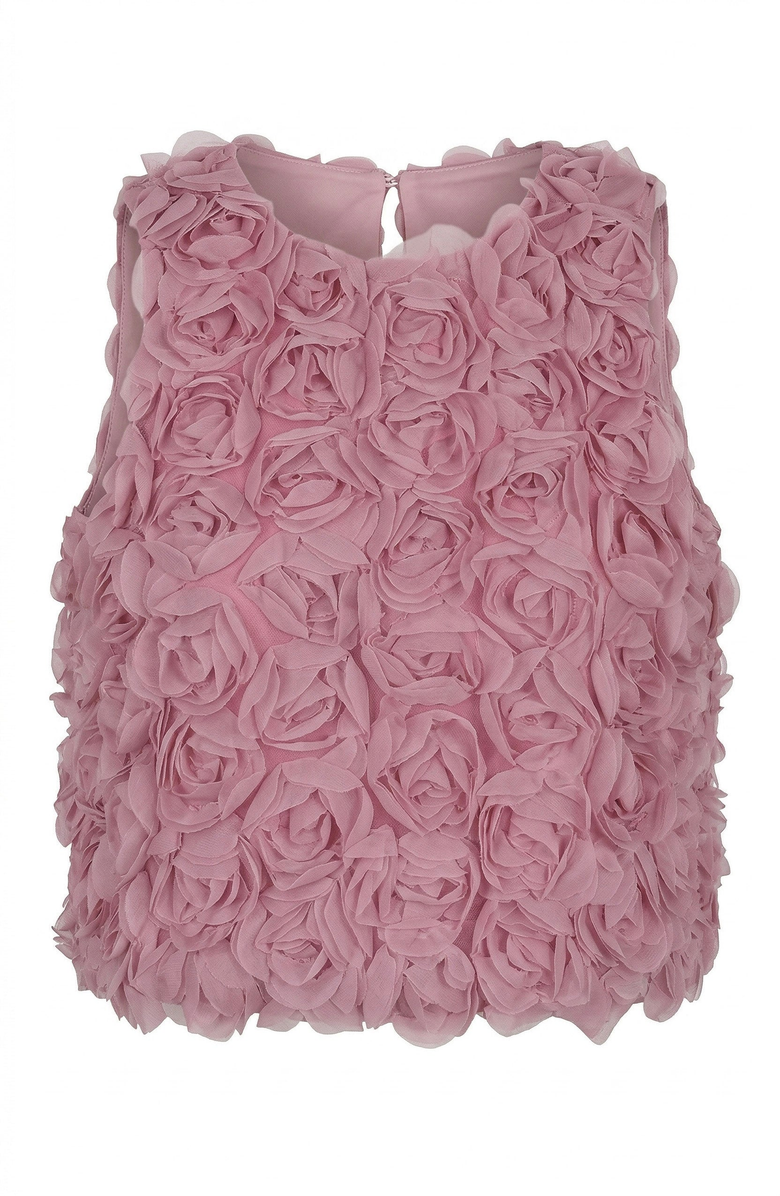 Modenaire Floral Appliqué Sleeveless Top, Alternate, color, Dusty Rose