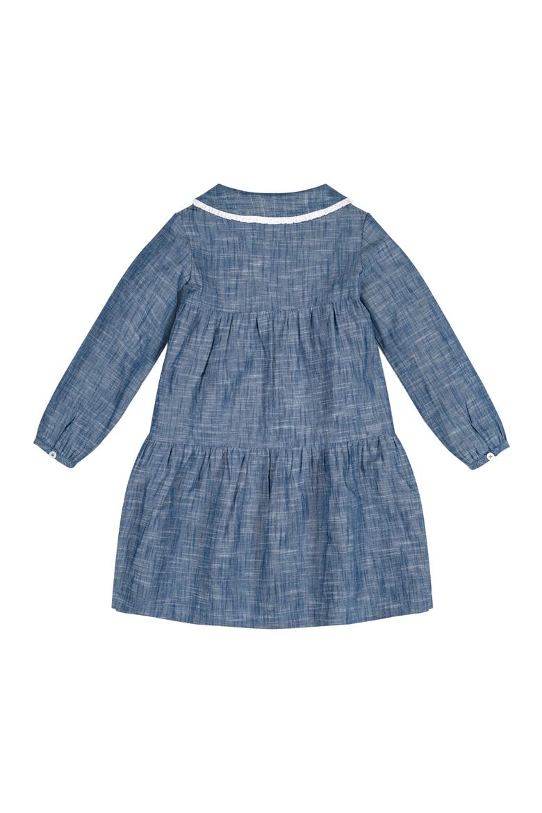 Girls' Organic Button Front Chambray Dress, Toddler, Alternate, color, Blue Chambray