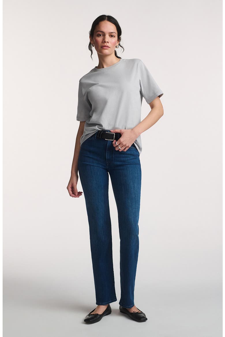 Basic Crewneck T-Shirt, Alternate, color, HIGH-RISE