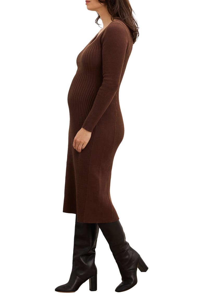 The Dasha Sweater Dress, Alternate, color, Chocolate