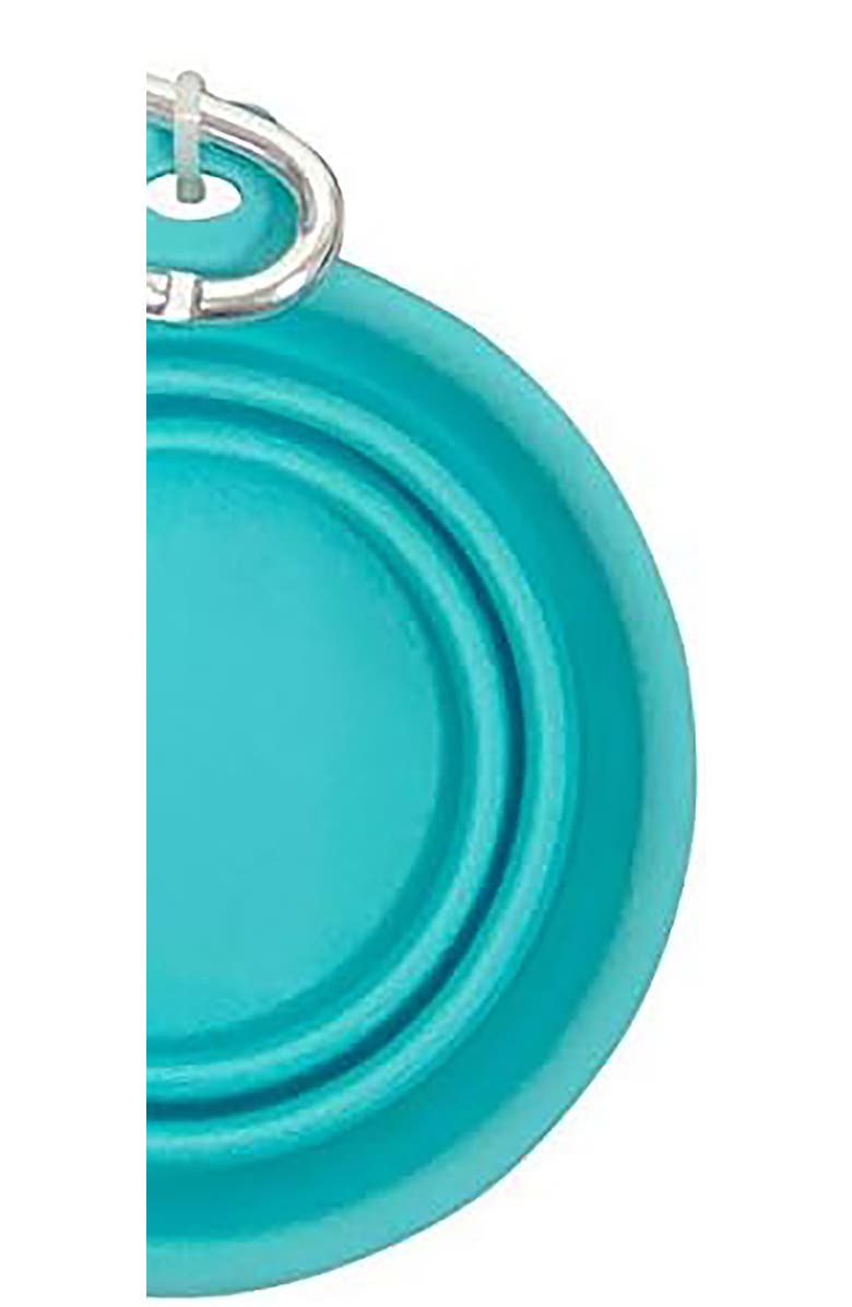 FFDPet Silicone Travel Bowl For Dogs & Cats Xsmall, 7oz, Alternate, color, Multicolored