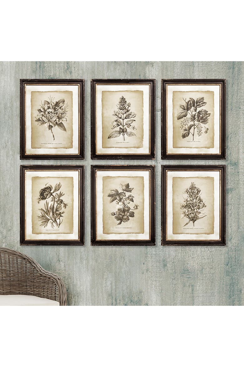 Framed Vintage Floral Prints Set of 6, Alternate, color, Black
