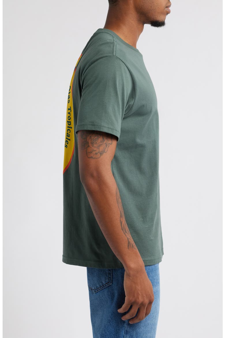 Tropicals Pocket Graphic T-Shirt, Alternate, color, SLATE GREEN
