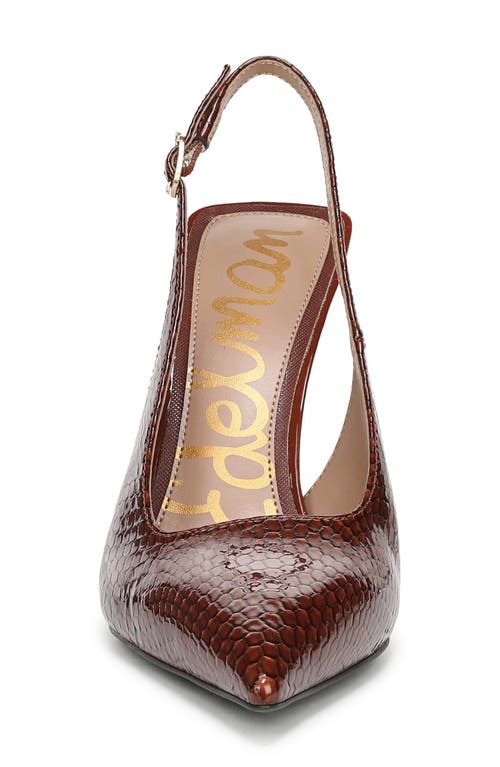 Sam Edelman Odette Slingback Pointed Toe Pump In Brown