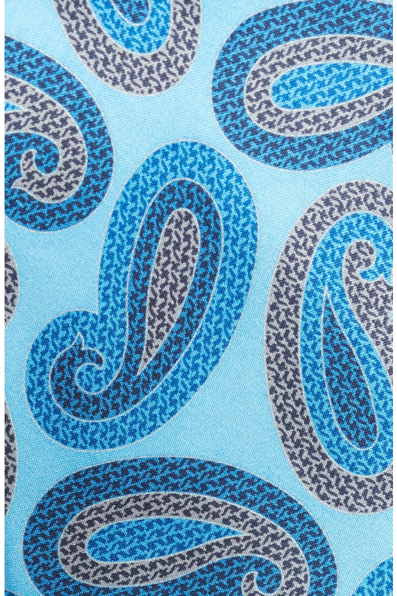 Medallion Silk Tie, Alternate, color, BLUE PAISLEY
