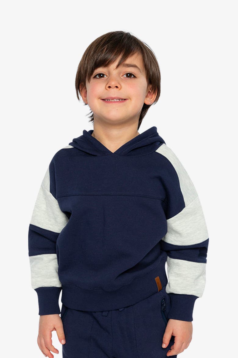 Hooded Striped Sleeve Ribbed Cuff Fleece Cardigan, Alternate, color, Dark Blue and Beige