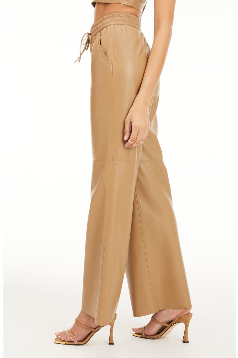 Faux Leather Wide Leg Pants, Alternate, color, WARM CARMEL003
