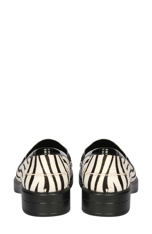 Saint G Zuri Zebra Loafer In Multi