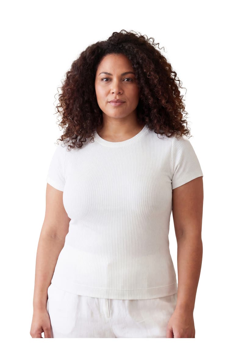 Curvy Basic Ribbed Knit Round Neck Short Sleeve Top, Main, color, White