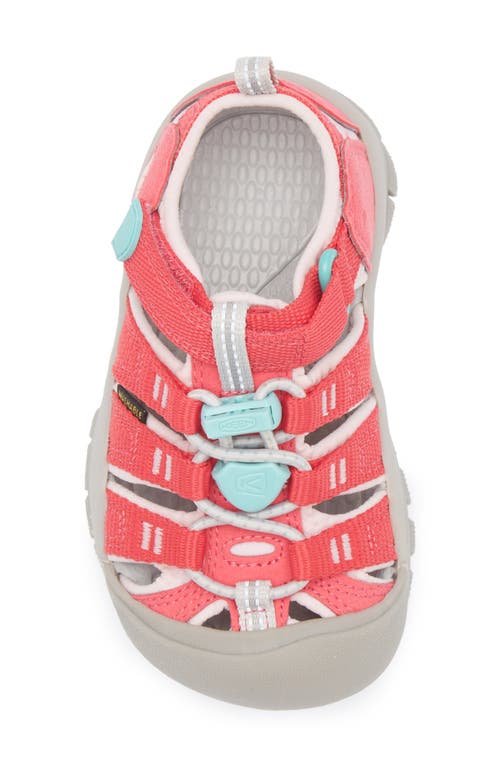 Keen Kids' Newport H2 Sandal In Raspberry/pink-a-boo