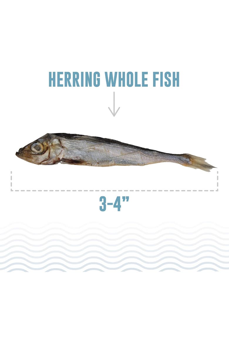 Whole Fish Herring, 1oz Bag, Cat Treats, Pure Wild-Caught, Alternate, color, Multicolored