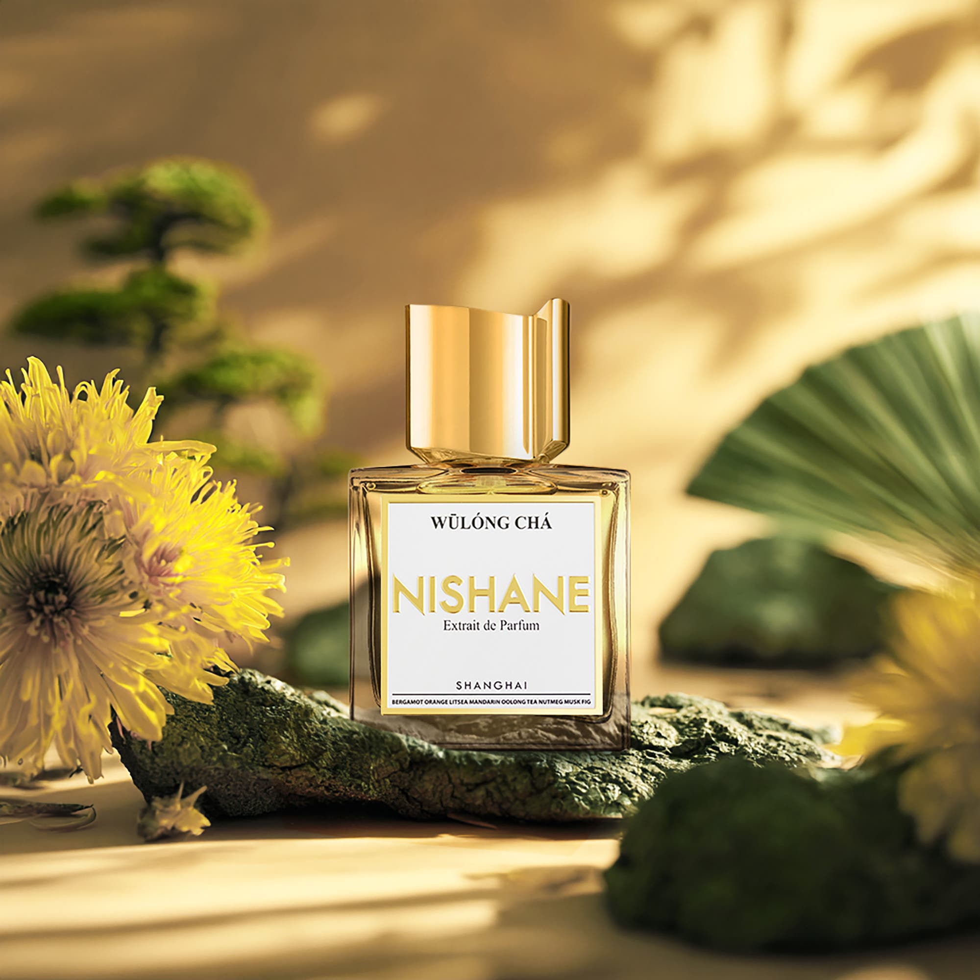 Wulong Cha Extrait De Parfum (Women) | Nordstrom