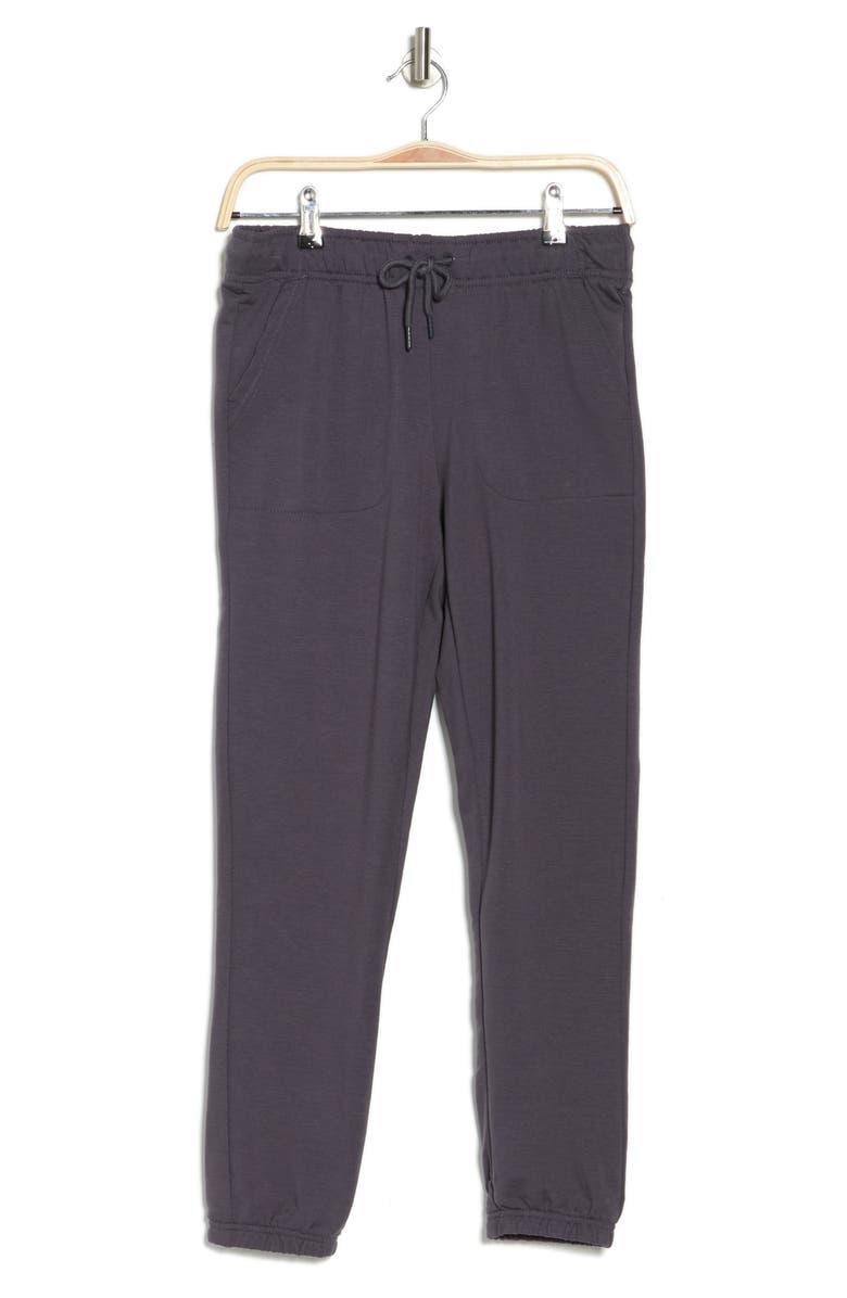 90 DEGREE BY REFLEX Terry Brushed Knit Joggers, Alternate, color, 