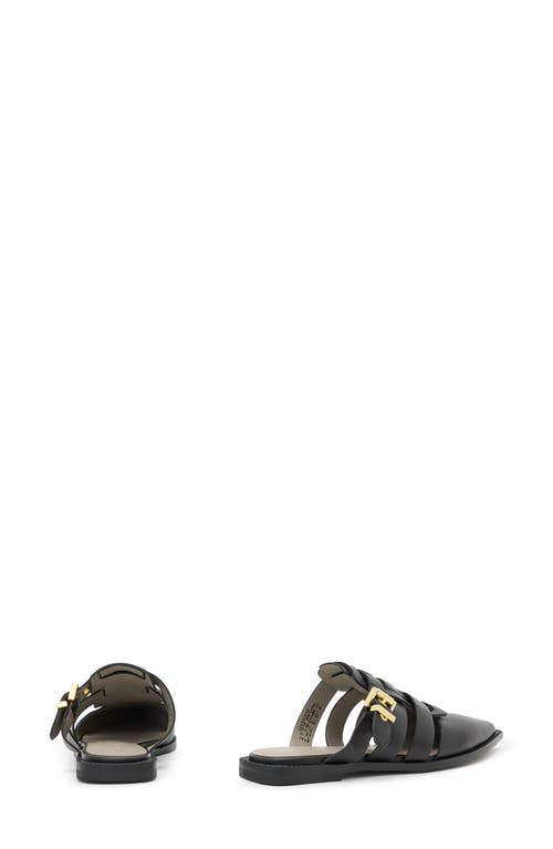 Shop Allsaints Nala Pointed Toe Mule In Black