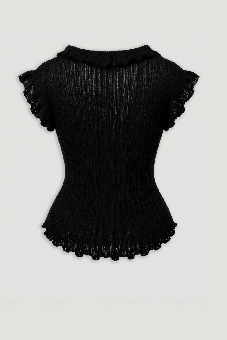 Ruffled V-Neck Sheer Blouse, Alternate, color, Black