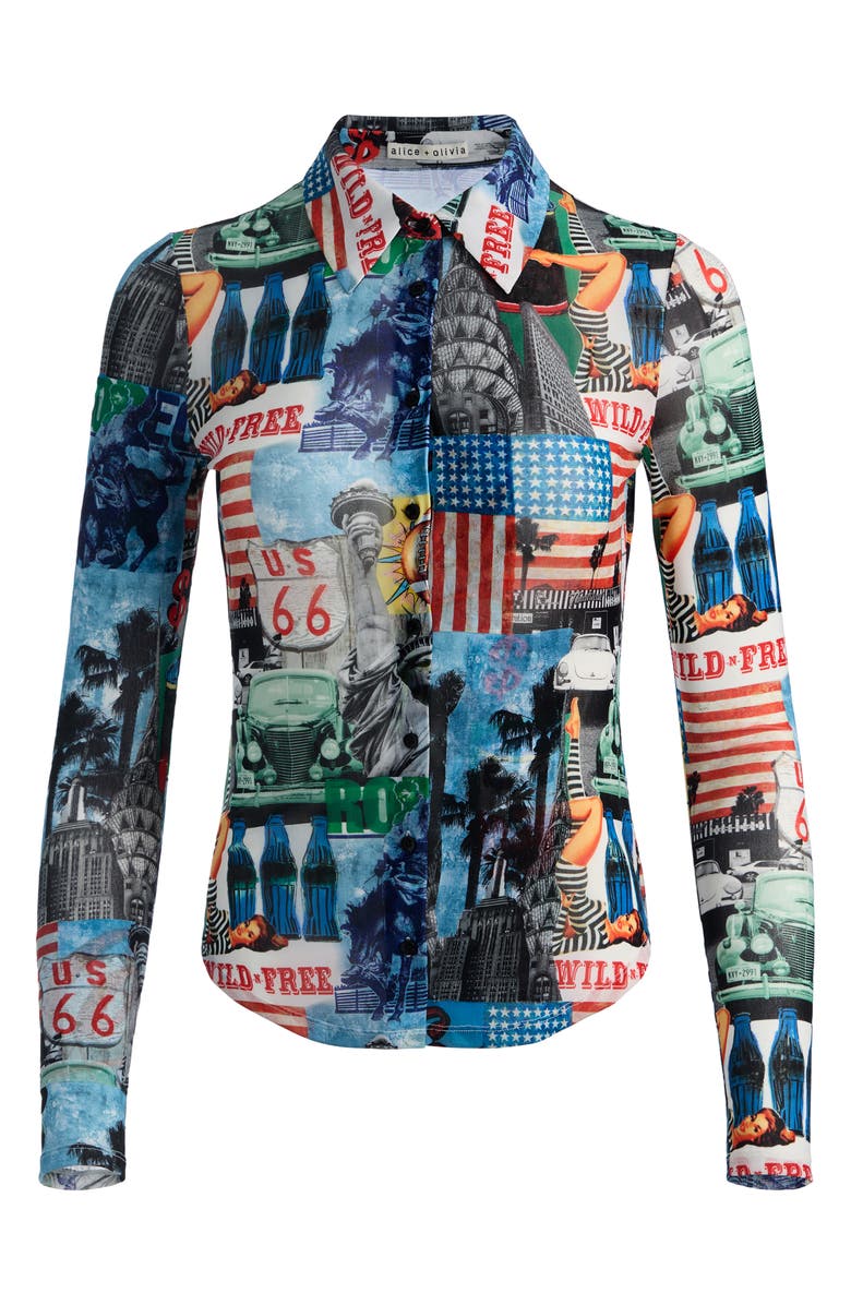 Alice + Olivia Jade Mesh Shirt, Alternate, color, Open Road