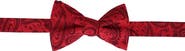 Trafalgar Banbury Tone on Tone Paisley Silk Bow Tie