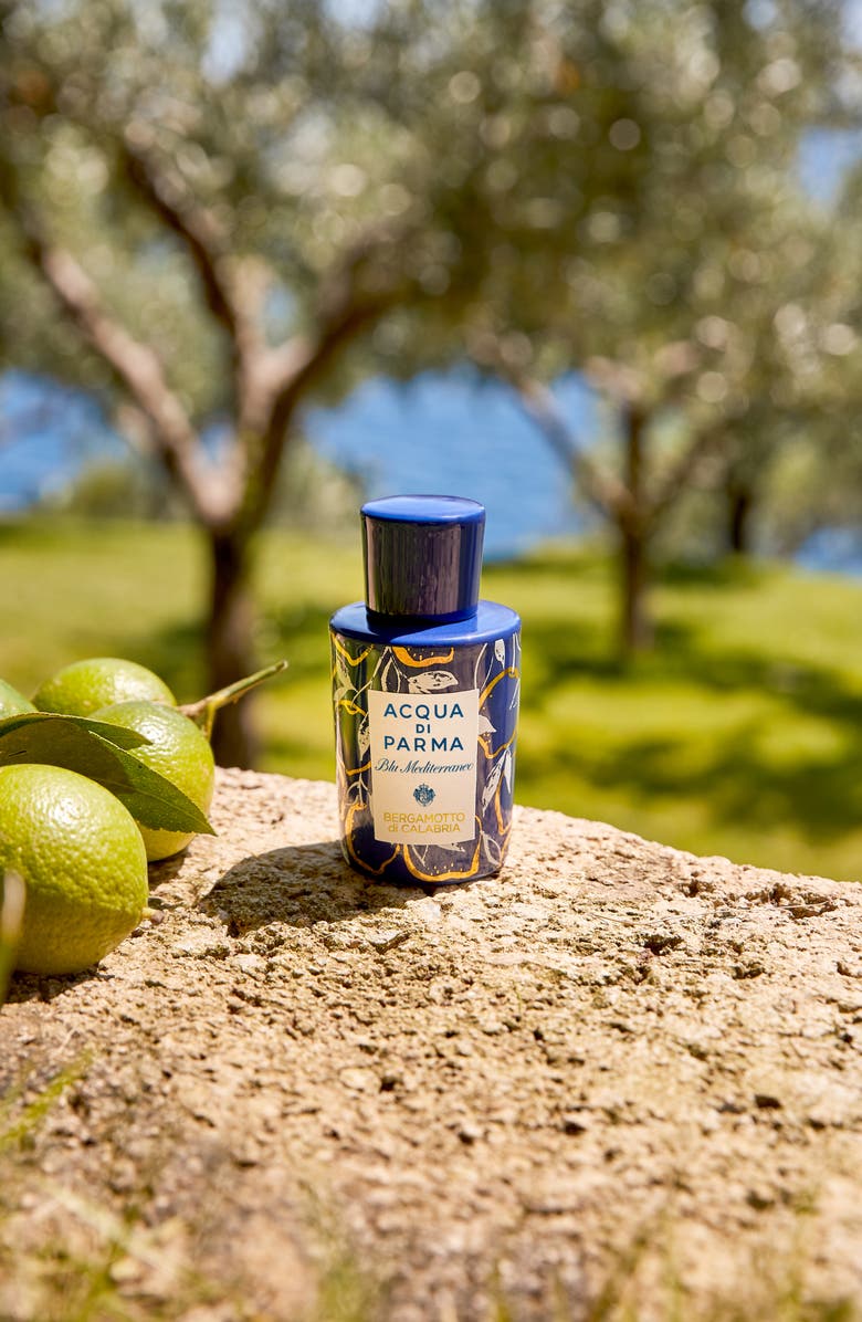 Acqua di Parma Bergamotto di Calabria La Spugnatura Fragrance, Alternate, color,