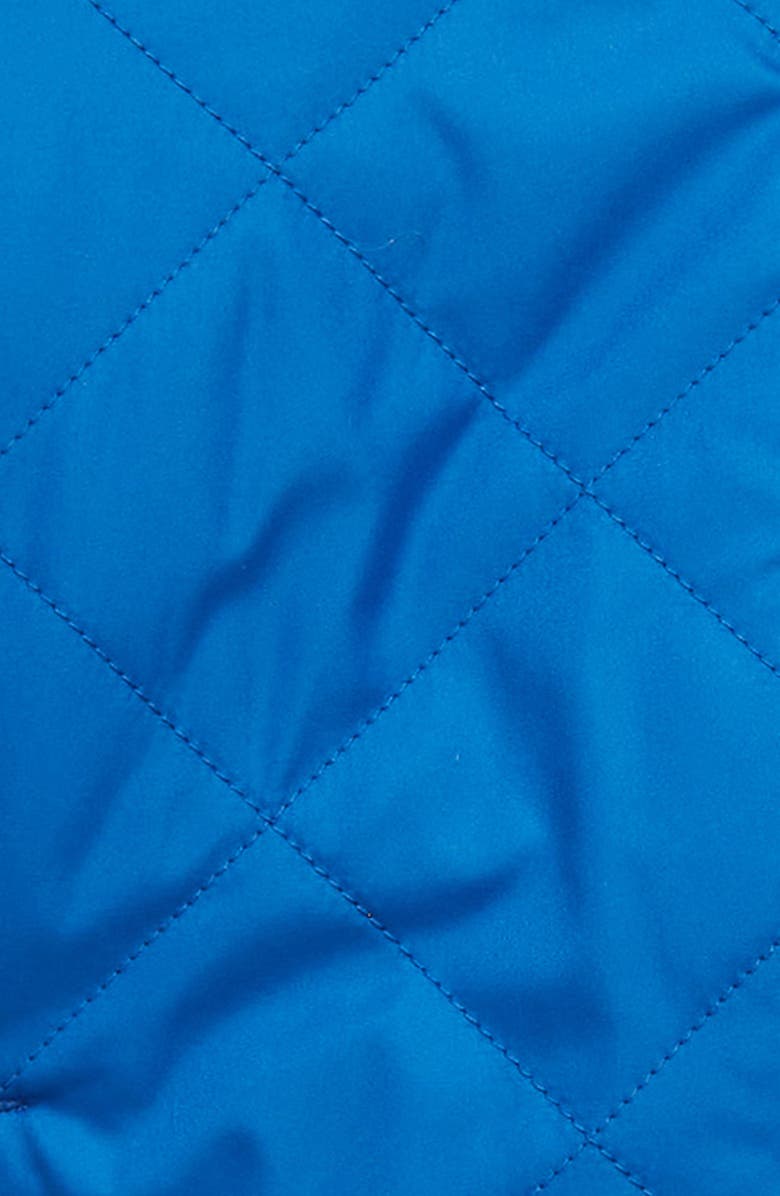 L.L.Bean Kids' Mountain Bound Reversible Hooded Jacket, Alternate, color, 