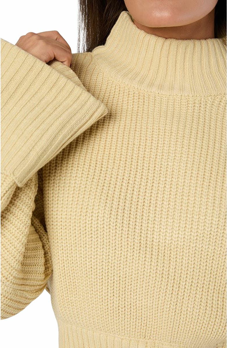 WeWoreWhat Cropped Turtle Neck Sweater, Alternate, color, 