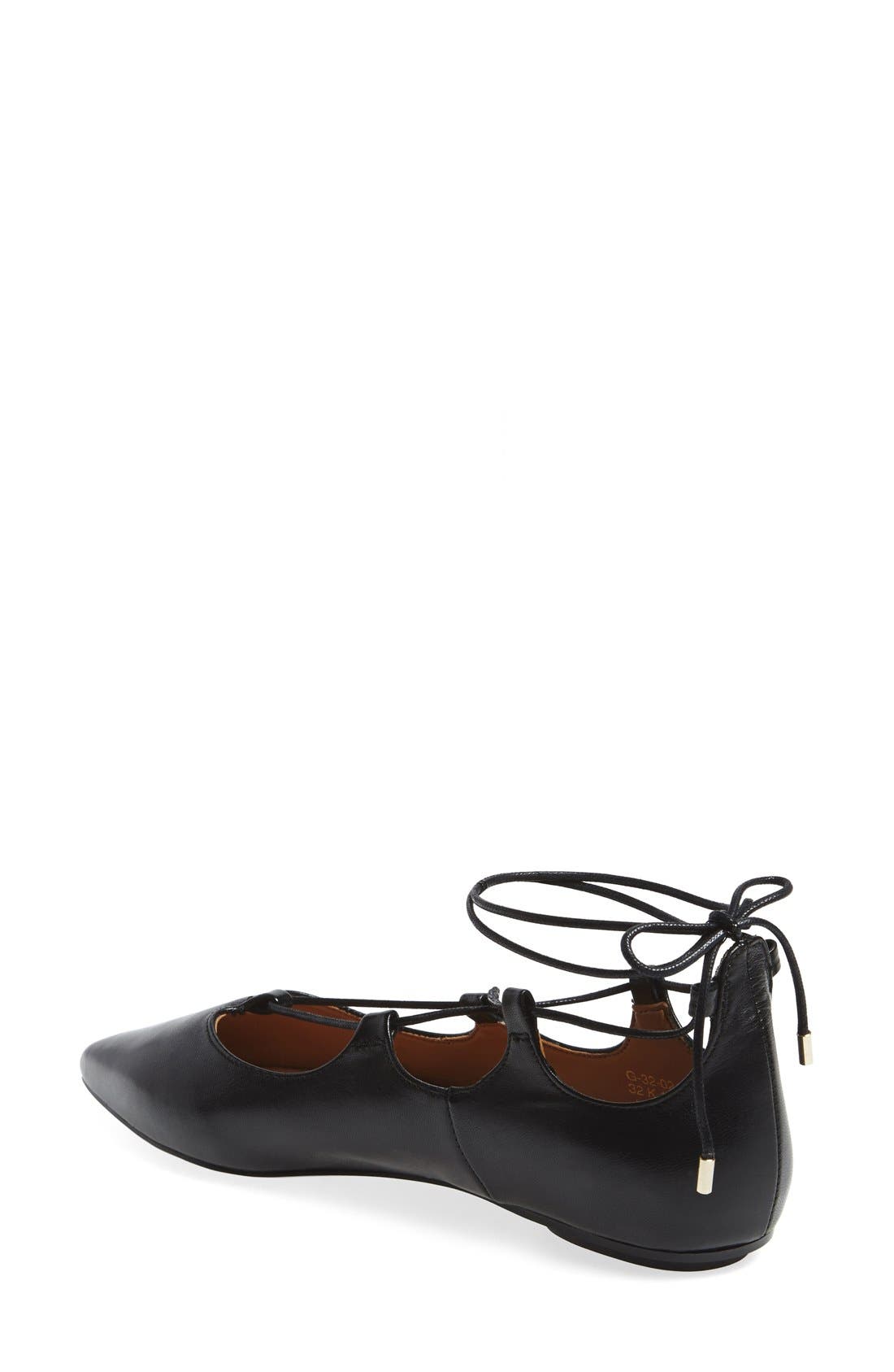 'Leather Kingdom' Pointy Toe Flat, Alternate, color, BLACK