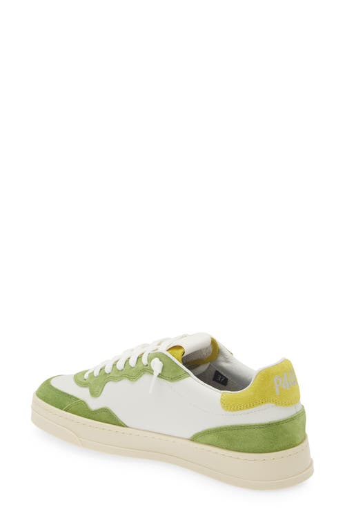 P448 Bali Low Top Sneaker In White