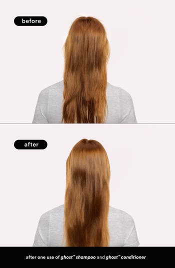 Ghost Shampoo