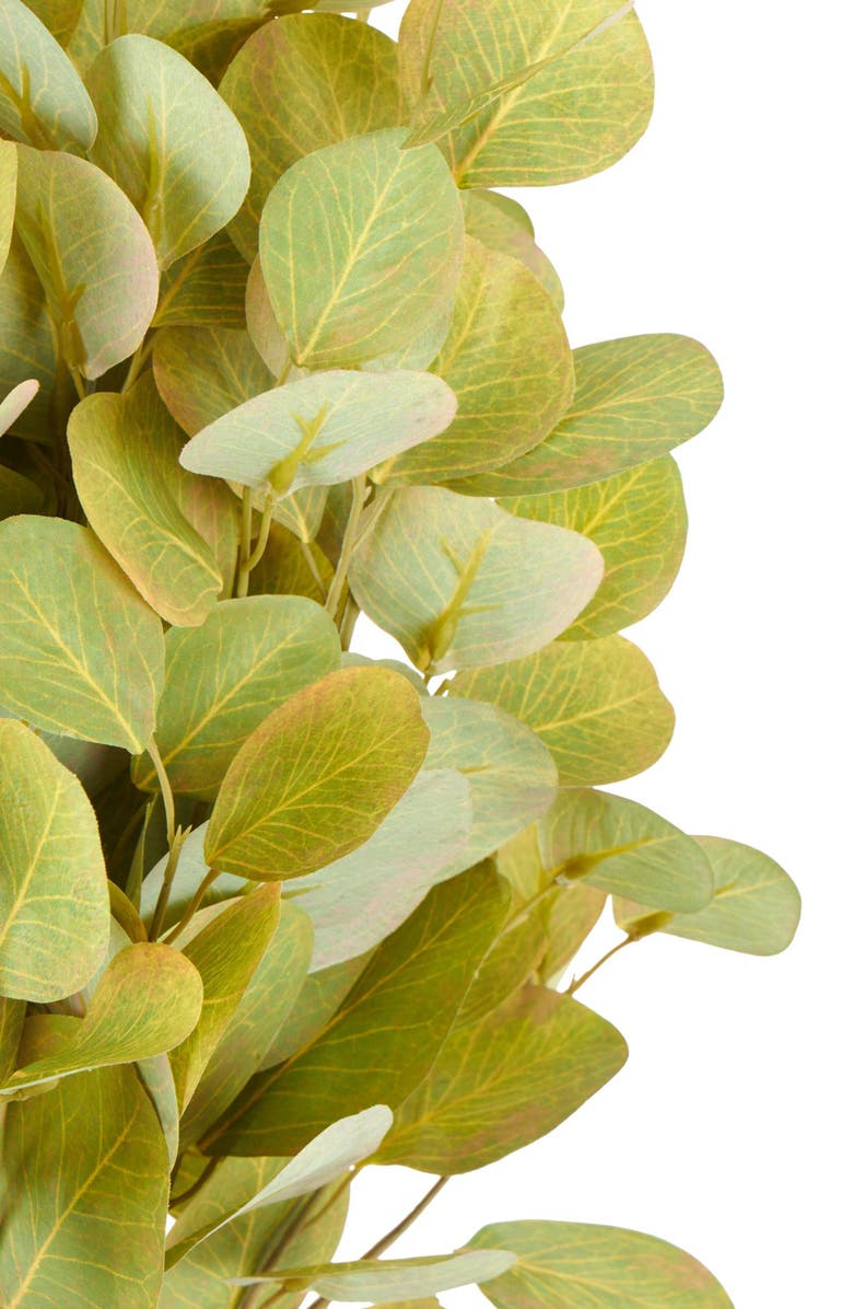 SONOMA SAGE HOME Set of 12 Eucalyptus Artificial Stems, Alternate, color, Green