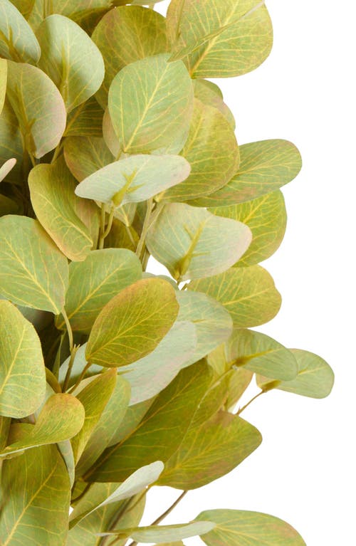 Sonoma Sage Home Set Of 12 Eucalyptus Artificial Stems In Green