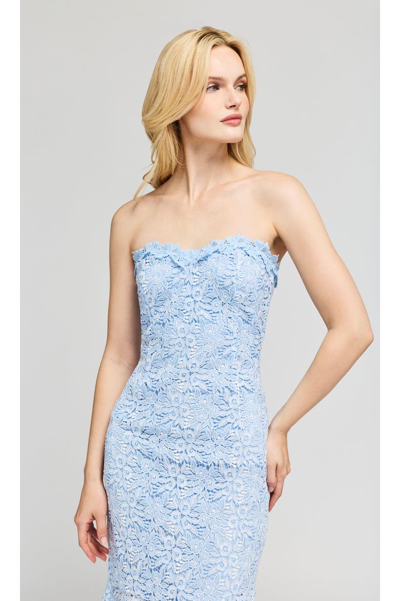 Makaia Two Tone Lace Dress, Alternate, color, Light Blue/White
