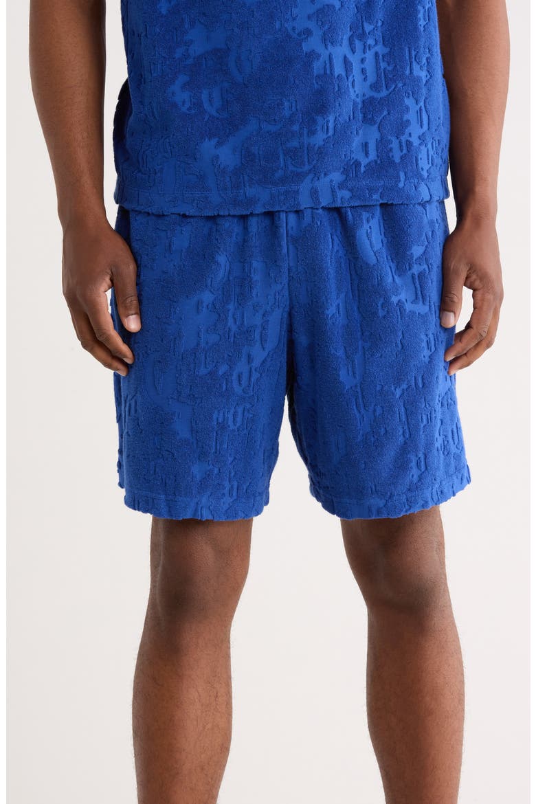 Terry Cloth Shorts, Main, color, BLUE
