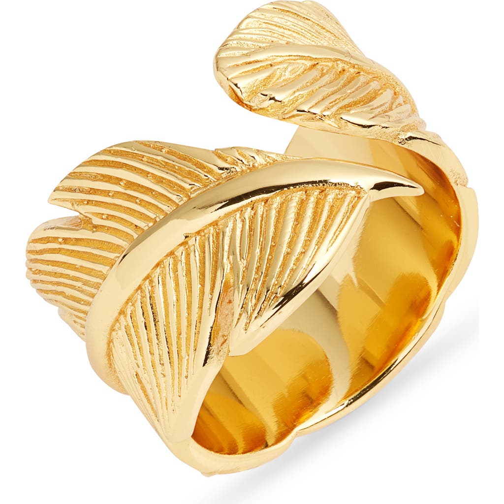 Ki-ele Featherly Band Ring In Gold