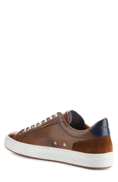 Ambitious 11218 Low Top Sneaker In Camel Leather/suede