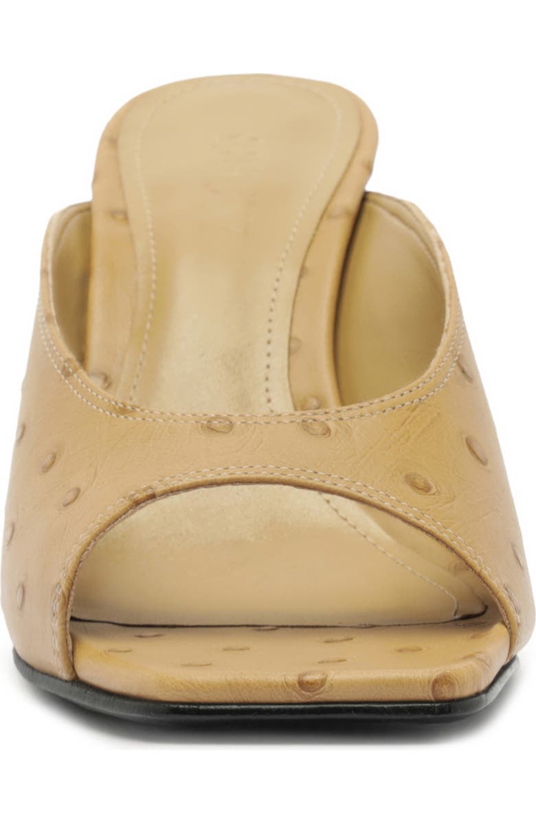 Schutz Finley Sandal, Alternate, color, Fig