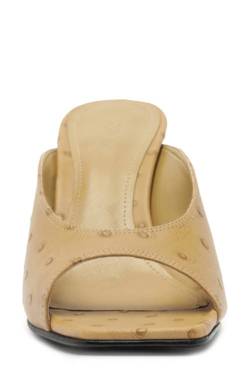 Schutz Finley Sandal In Multi