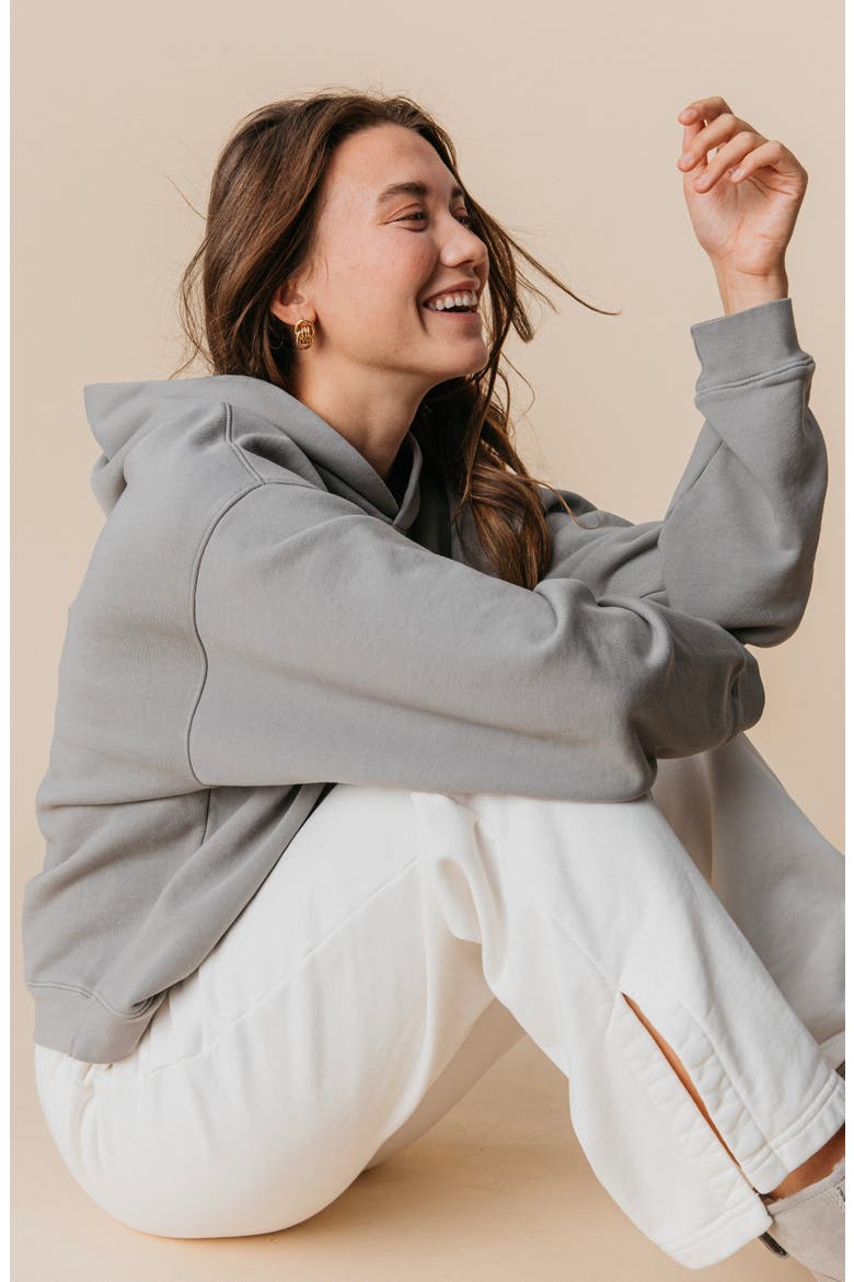 Women's Organic Cotton Teddy Oversized Hoodie, Alternate, color, Ash