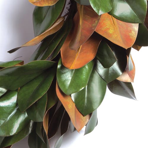Napa Home & Garden Magnolia Leaf 24in Wreath In Green