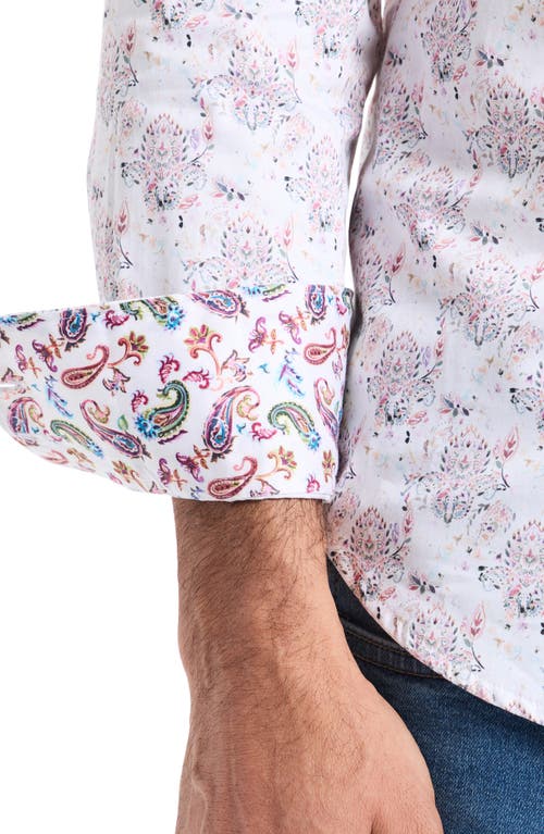 Robert Graham Lurken Cotton Button-up Shirt In Purple