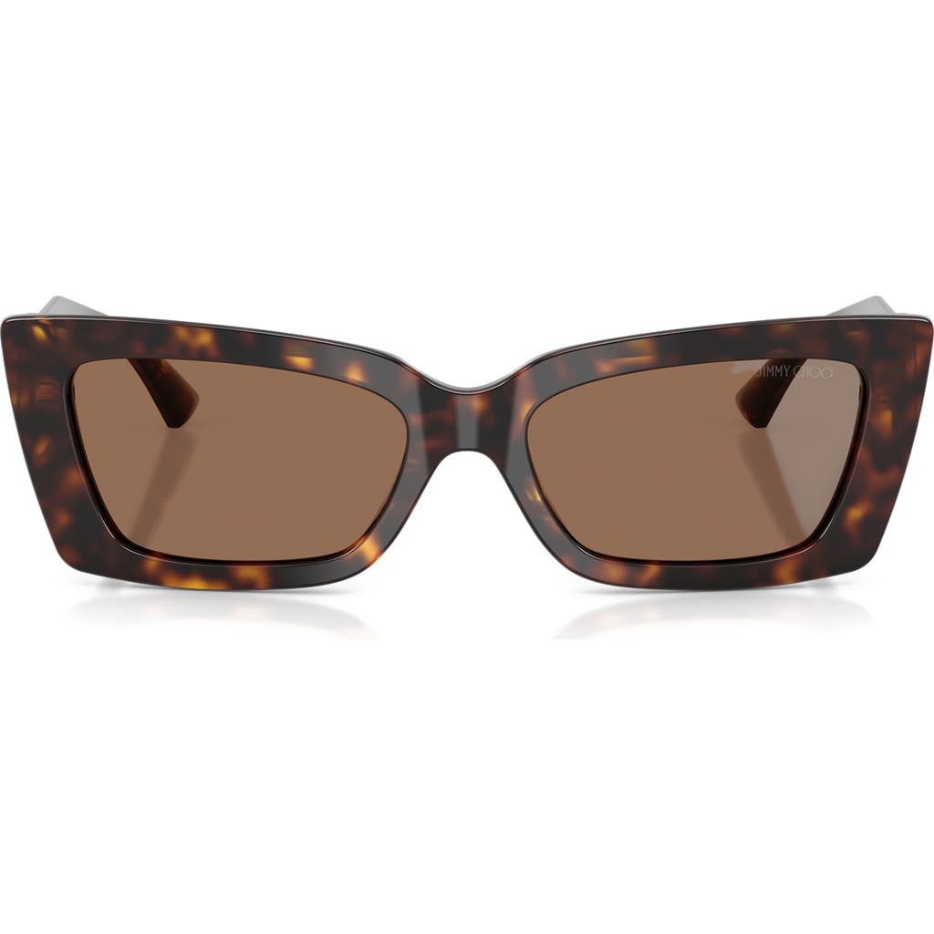Jimmy Choo Havana Cat Eye Sunglasses In Brown