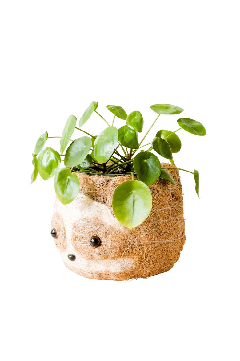 Animal Head Coco Coir Planters, Alternate, color, Two-Tone