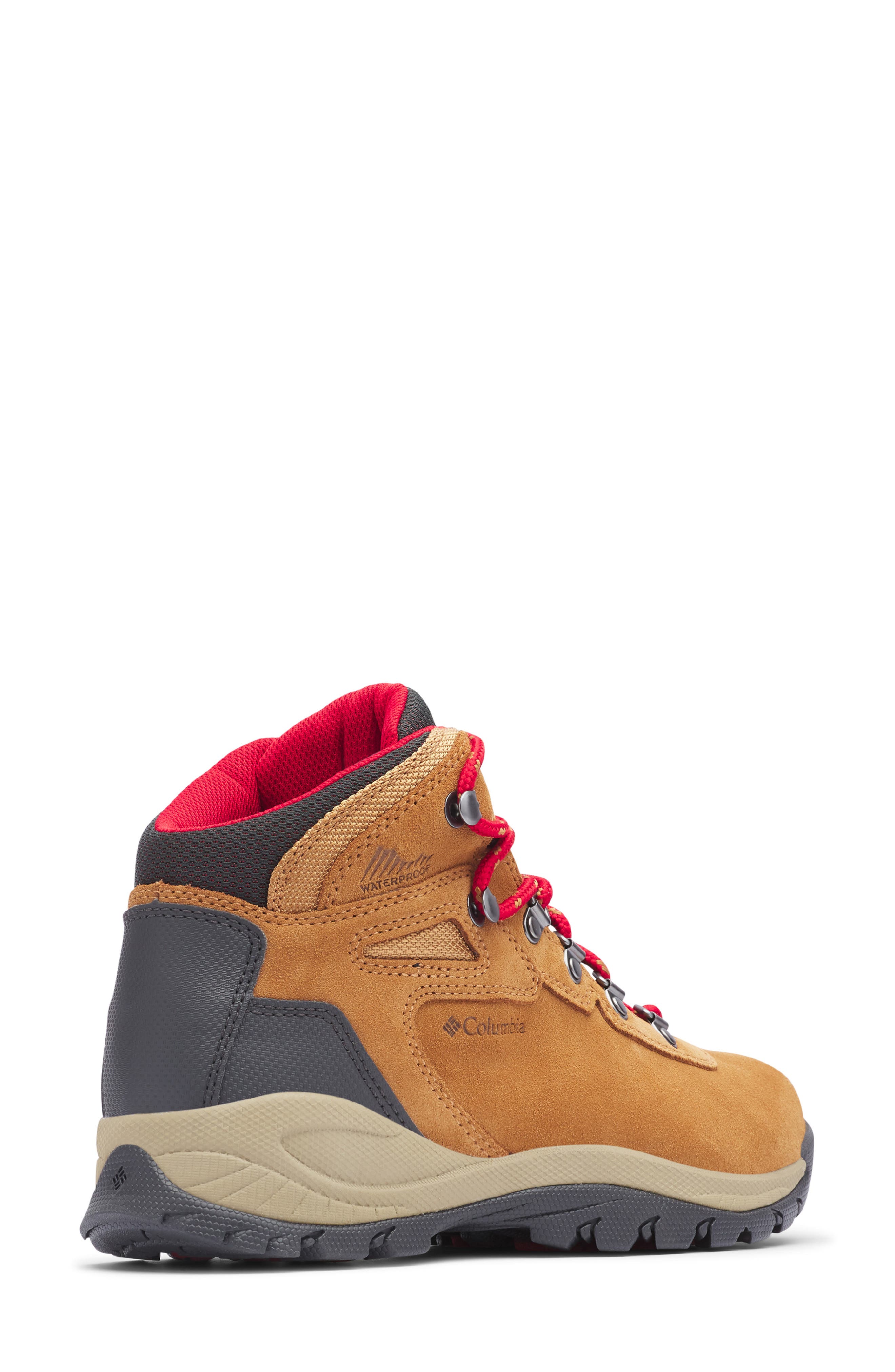 Newton Ridge™ Amped Waterproof Hiking Boot, Alternate, color, ELK/ MOUNTAIN RED