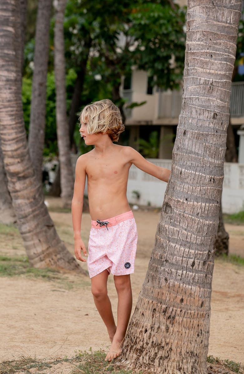 Feather 4 Arrow Shore Thing Board Shorts, Alternate, color, Papaya