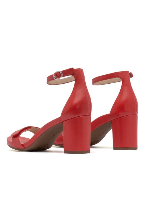Abeo Tempo Strap In Red Leather - Regular