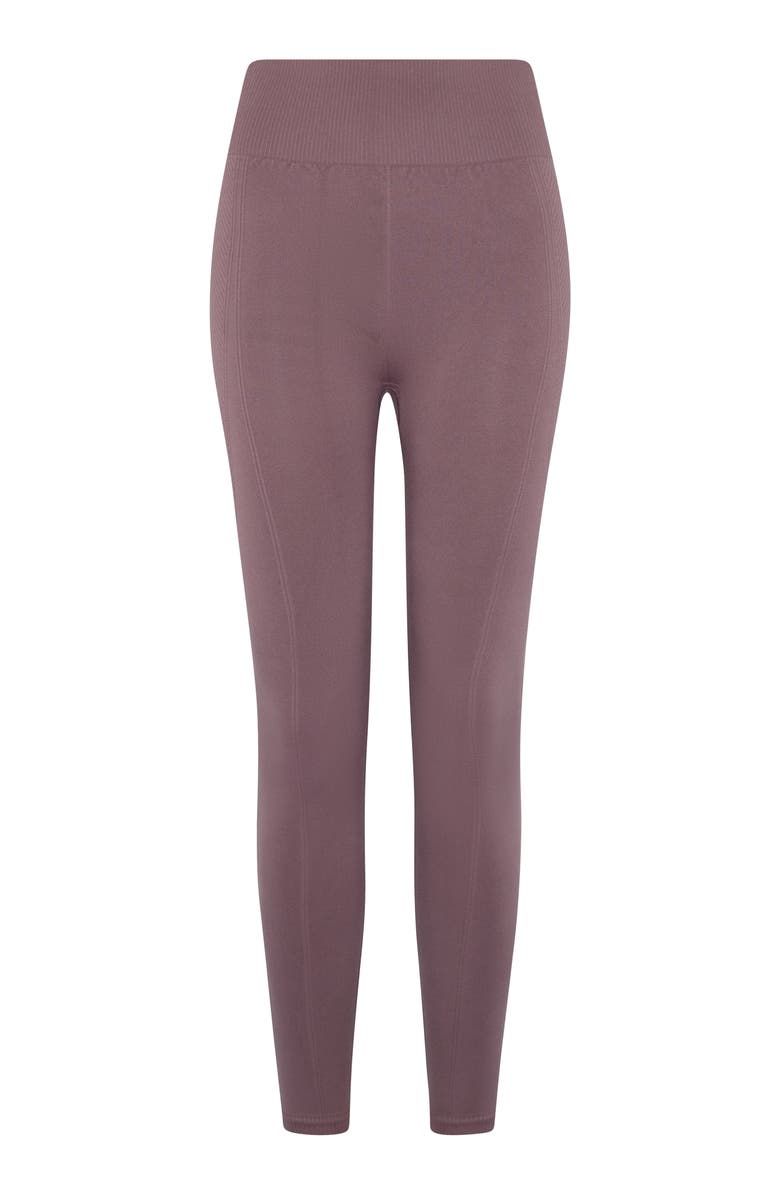 Born Living Yoga India Seamless High Rise Sport Legging, Alternate, color, Amatista