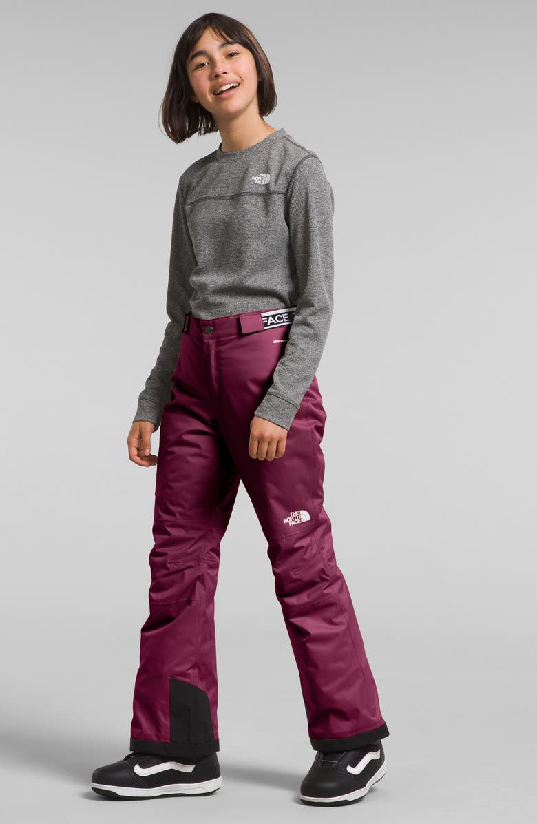 The North Face Kids' Freedom Waterproof Insulated Pants, Alternate, color, Boysenberry